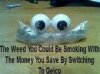 weed saveings.jpg